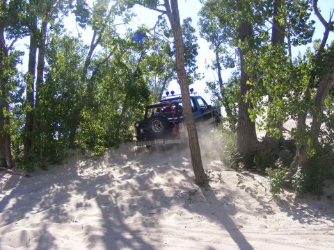 1996 Ford Bronco - A dark-colored SUV navigates a steep sand dune surrounded by trees.
