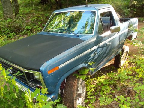 1985 Ford Bronco - This blue pickup truck is parked in a wooded area with foliage obscuring the tires.