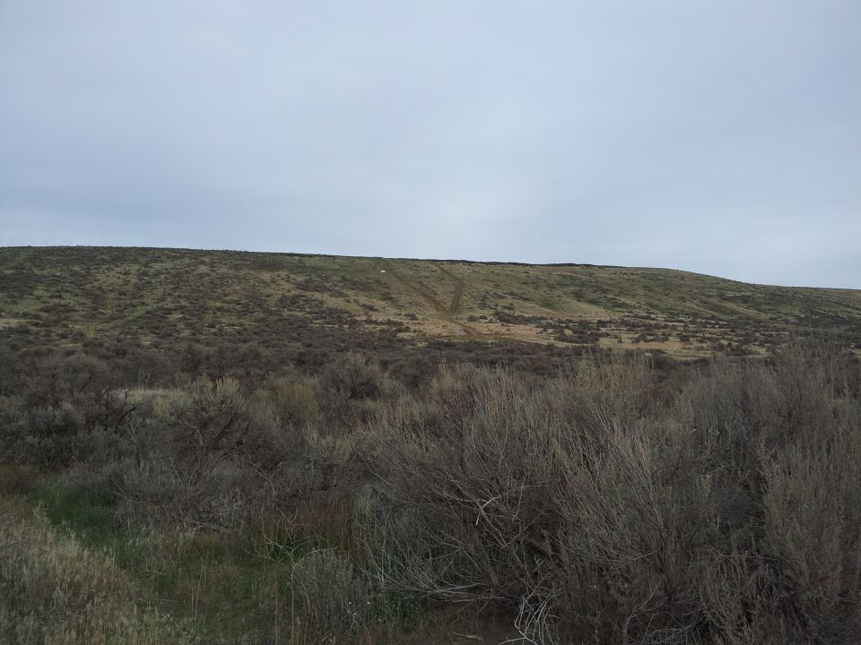 Overcast sky above a grassy, brush-covered hill with tire tracks visible on the slope