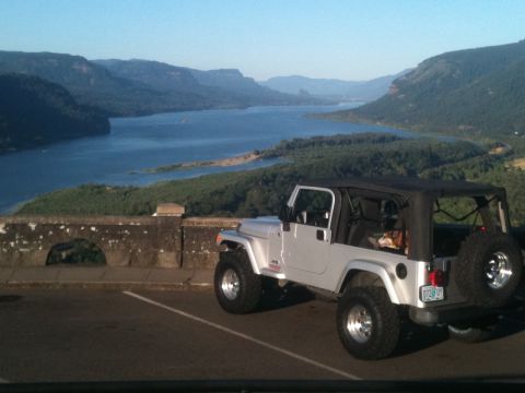 2005 Jeep Wrangler - My dog Buddy always enjoys a drive