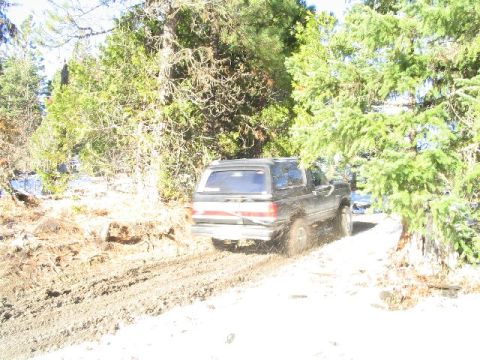 1988 Ford Bronco - This 1988 Ford Bronco navigates a muddy trail surrounded by trees.