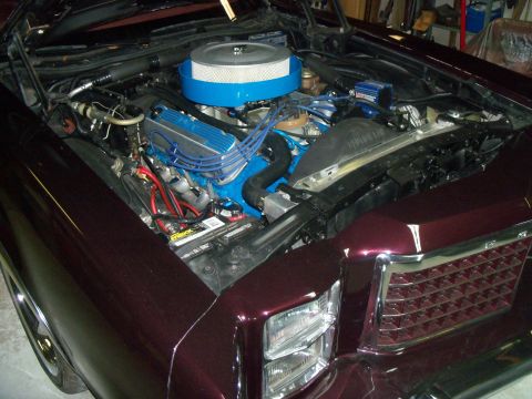 1979 Ford Ranchero - Angled view over the driver's fender into the open engine bay of a burgundy car, showing a V8 with blue-painted valve covers and intake, bl…
