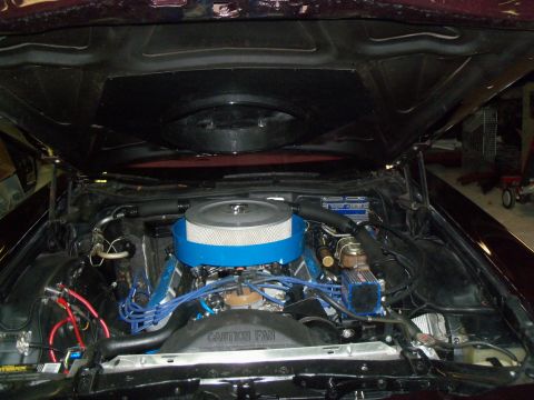 1979 Ford Ranchero - Head-on view into a burgundy car's engine bay with the hood raised, showing a V8 with blue-painted valve covers, blue plug wires, a blue-an…