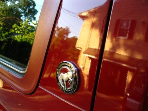 1994 Ford Bronco - 1994 Ford Bronco Silver Anniversary emblem detail on the exterior.