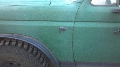 1986 Ford Bronco - Side view of a green 1986 Ford Bronco, its distinctive horse emblem on the fender.