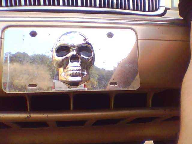 Chrome skull license plate frame on a gold-colored car bumper