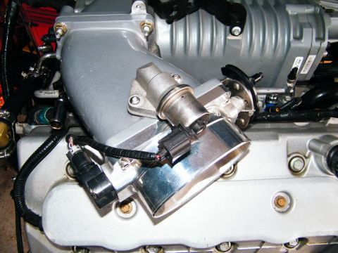 2004 Ford Crown Victoria - Close-up view of engine components, including an intake manifold and supercharger.