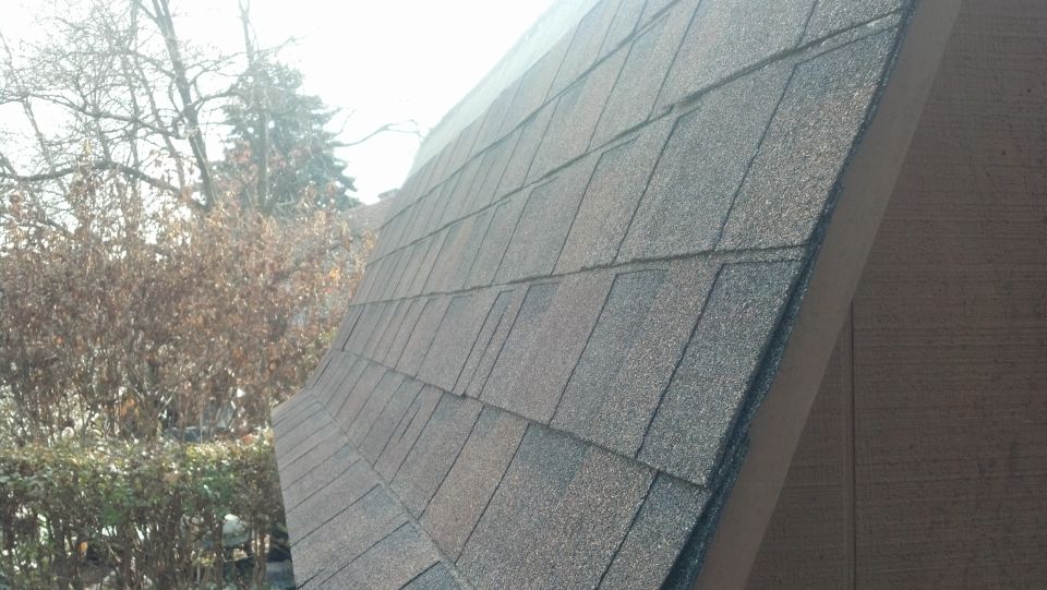 Roof shingles on a sloped surface with bare trees and foliage in the background