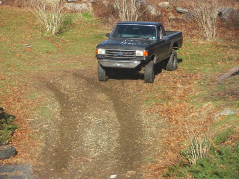 1994 Ford F-150 - A dark 1994 Ford F-150 pickup truck is parked on a dirt path surrounded by dry leaves and brush.