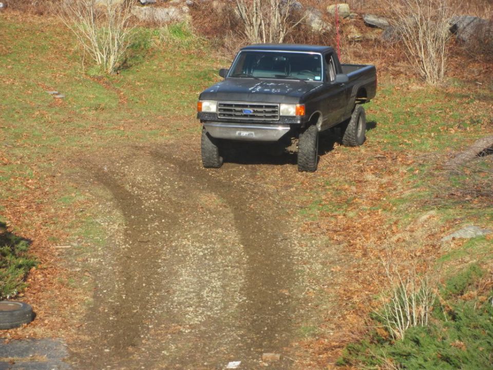Dark 1994 Ford F-150 pickup truck on a dirt path
