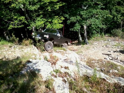 1994 Ford F-150 - This 1994 Ford F-150 is navigating a challenging off-road course.