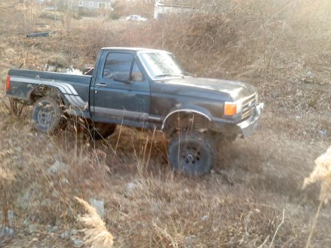 1994 Ford F-150 - This 1994 Ford F-150 pickup truck appears to be modified for off-road use with a lifted suspension.