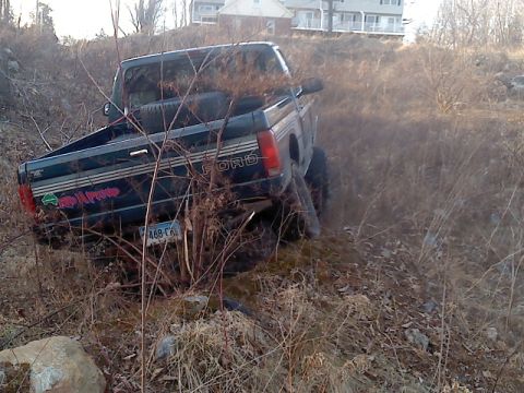 1994 Ford F-150 - Ford F-150 off-road, stuck in dry brush.