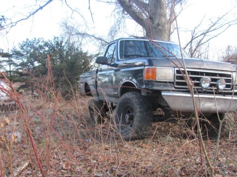 1994 Ford F-150 - This lifted 1994 Ford F-150 pickup truck is seen off-road, partially obscured by dry brush and trees.