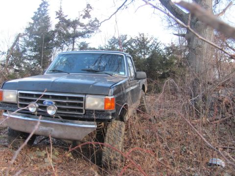 1994 Ford F-150 - A dark-colored Ford pickup truck is parked off-road, surrounded by dry brush and trees.