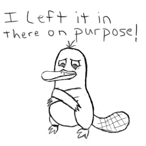 1989 Ford Bronco - A cartoon platypus looks dejected while text above it states it was left there intentionally.