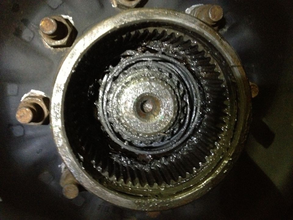Close-up of greasy internal gears within a hub assembly