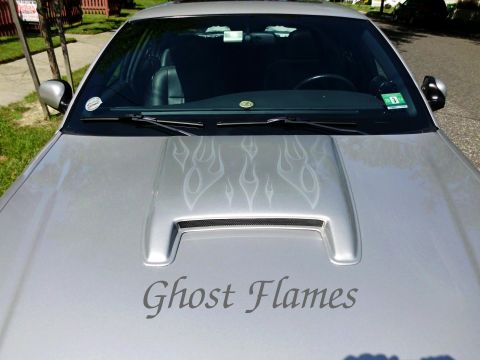 2004 Ford Crown Victoria photo