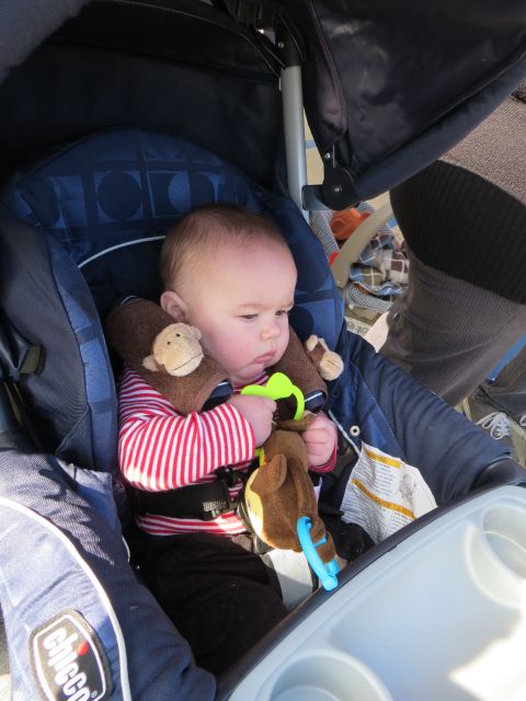 1978 Ford Bronco - A baby sits in a stroller, holding onto toys while looking to the side.