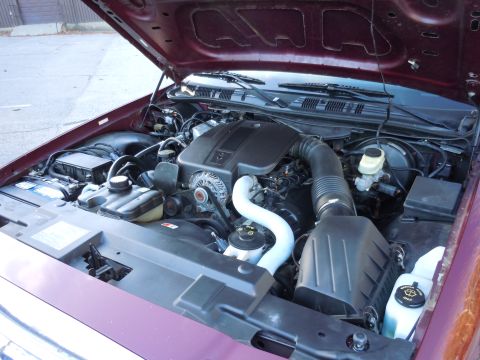 2001 Ford Crown Victoria - Engine bay of a 2001 Ford Crown Victoria, the V8 engine and associated components.