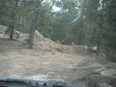 1990 Ford Bronco - A view of an off-road trail with trees and a sandy embankment, taken from the driver's perspective.