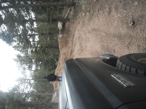 1990 Ford Bronco - 1990 Ford Bronco on a dirt trail in a wooded area.