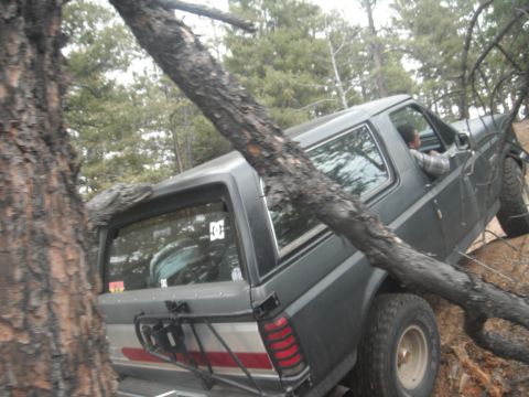 1990 Ford Bronco - A 1990 Ford Bronco is seen off-roading on a trail in Colorado, with a fallen tree partially obscuring the view.
