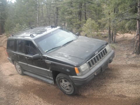 1990 Ford Bronco - A black Jeep Grand Cherokee is parked on a dirt road surrounded by trees.