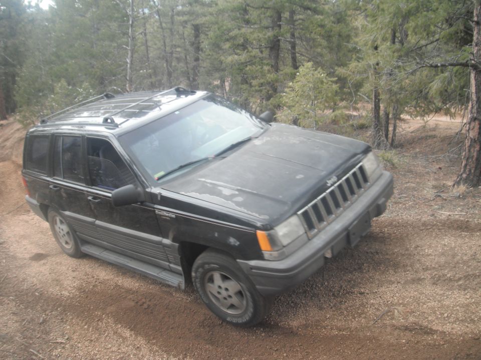 Black Jeep Grand Cherokee on dirt road in woods