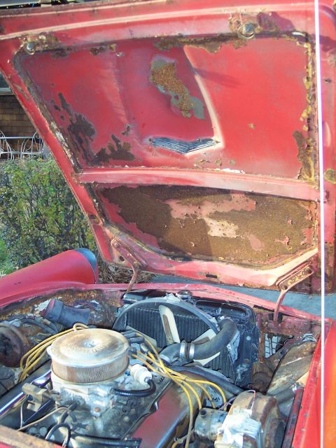 1956 Ford Thunderbird - The engine bay of a 1956 Ford Thunderbird reveals significant rust and wear under the open hood.