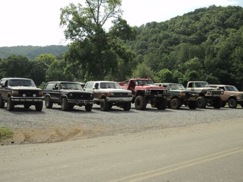 1986 Ford Bronco - Several Ford Broncos and F-Series trucks are lined up in a gravel lot with a wooded hillside in the background.