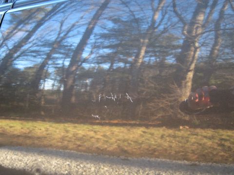 1991 Ford LTD Crown Victoria - Scratches are visible on the side panel of a car, reflecting trees and the sky.