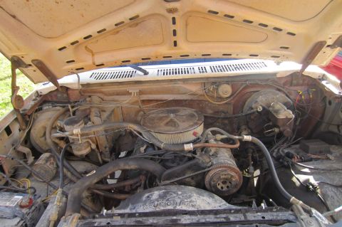 1982 Ford Bronco photo