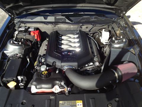 2013 Ford Mustang - Engine bay of a Ford Mustang, a 5.0 V8 engine and a red-filter cold air intake.