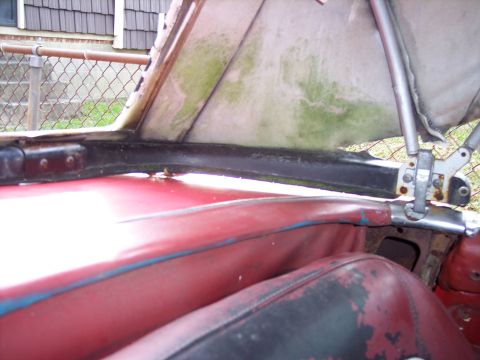 1956 Ford Thunderbird photo