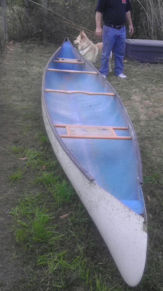 Canoe on grass with a person and dog nearby
