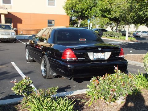 2003 Ford Crown Victoria - Black Crown Victoria photographed from behind over landscaping, Ford oval centered on trunk.