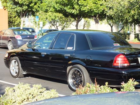 2003 Ford Crown Victoria - Black Crown Victoria sedan shot from the rear left, dark spoke wheels and shrubs in foreground.