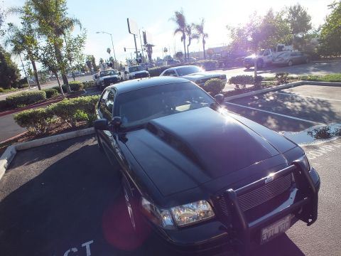 2003 Ford Crown Victoria - Black Ford sedan front quarter backlit by sun, push bar and EVIL VIC plate visible at bumper.