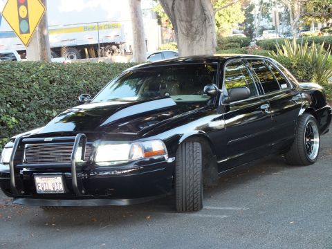 2003 Ford Crown Victoria - Lowered black Crown Vic parked by a hedge, chrome grille guard and staggered black wheels, plate reads EVIL VIC.