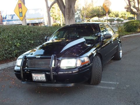 2003 Ford Crown Victoria - Black Crown Vic with lights on, chrome push bar and billet grille, parked by a hedge, EVIL VIC plate.