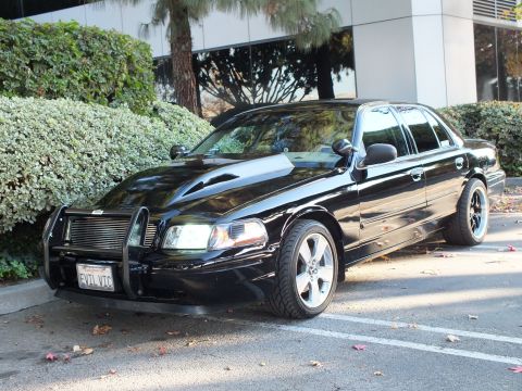 2003 Ford Crown Victoria - Black Crown Victoria parked by hedges, front quarter view with cowl hood, brush guard and EVIL VIC plate.