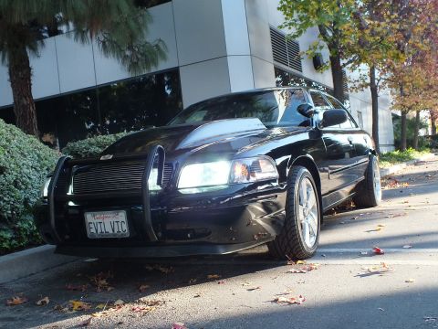 2003 Ford Crown Victoria - Black Crown Victoria front-three-quarter with lit headlights, brush guard and EVIL VIC plate by hedges.