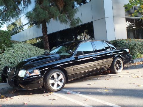 2003 Ford Crown Victoria - Three-quarter front of a black full-size sedan with push bar and dark wheels, hedges and office wall behind.