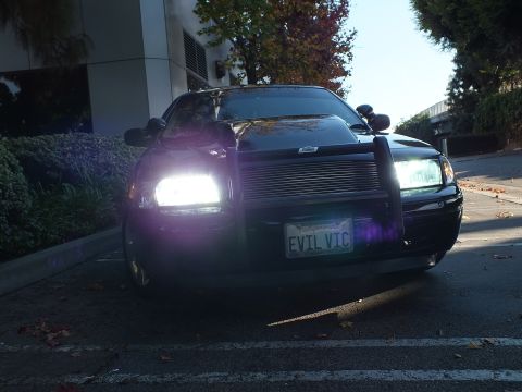 2003 Ford Crown Victoria - Front shot of a black sedan, headlights glowing, grille guard and EVIL VIC California plate, hedges behind.