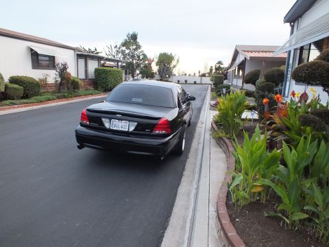 2003 Ford Crown Victoria - Rear-quarter of a black sedan with EVIL VIC plate parked on a residential drive next to a flower border.