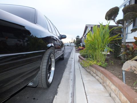 2003 Ford Crown Victoria - Low rear-flank view of a black Crown Victoria showing the rear wheel and body line beside a planter.