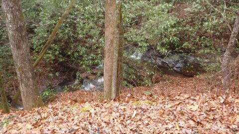 1986 Ford Bronco - A wooded area with a stream and fallen leaves, suggesting an autumn or winter scene.