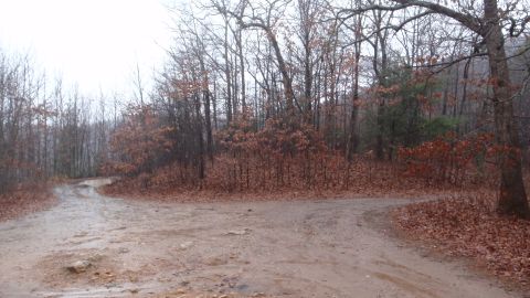 1986 Ford Bronco - A muddy, unpaved road splits in two directions through a dense forest with bare trees and fallen leaves.