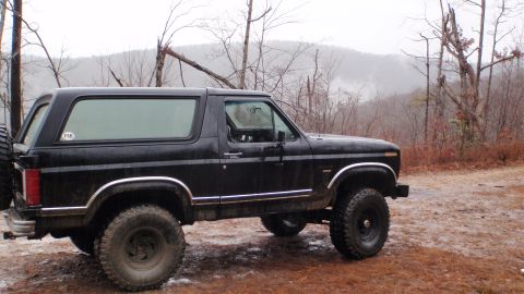 1986 Ford Bronco - A black 1986 Ford Bronco is parked off-road in a wooded area on a cloudy day.